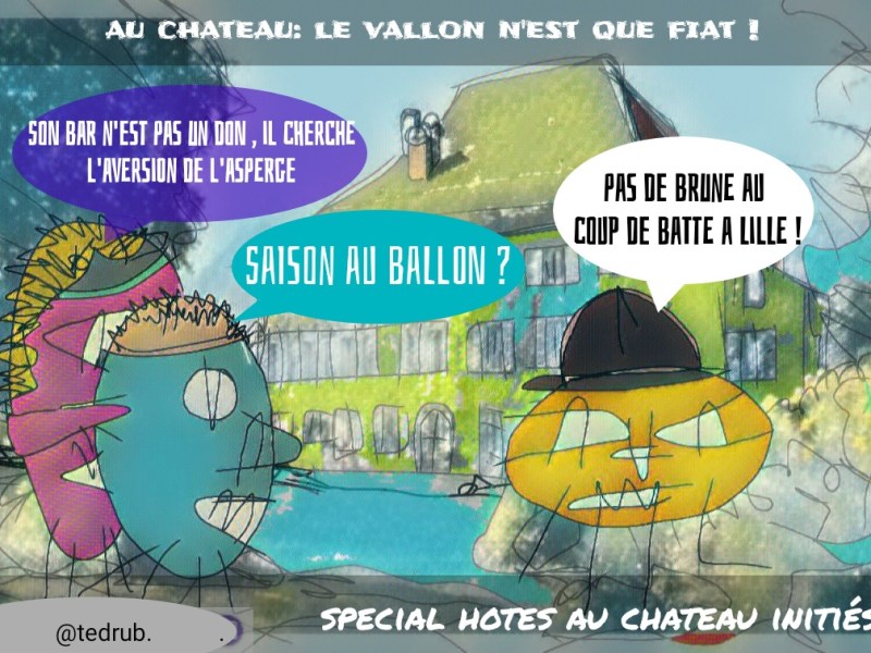 le brugnon du chateau est un faux ! ( inspiré par le guet apens contre Alain le&nbsp;Jardinier)